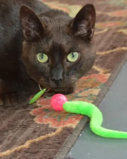 Wiggy Ball Cat Toy (Made in the USA)