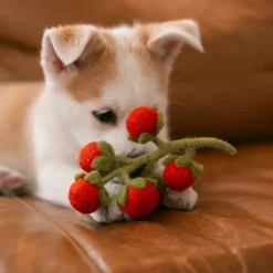 Wool Cherry Tomato Vine Dog Toy