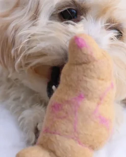 Wool Croissant Dog Toy