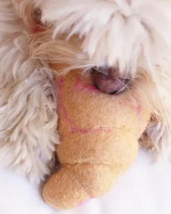 Wool Croissant Dog Toy