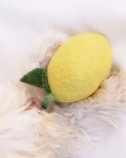 Wool Lemon Dog Toy