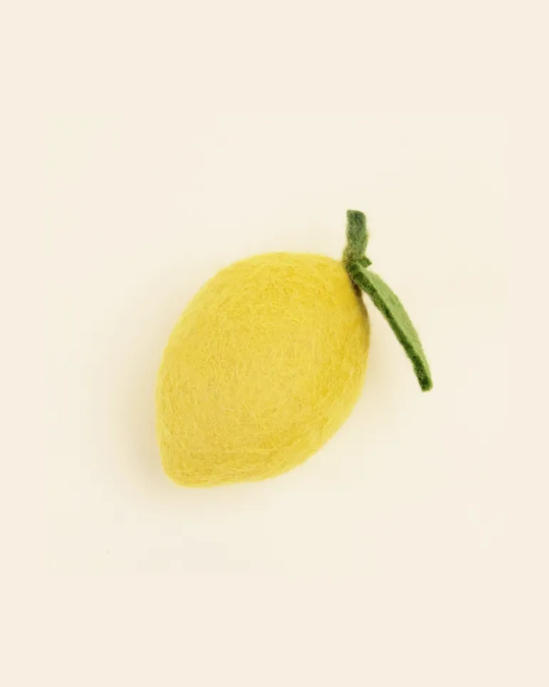 Wool Lemon Dog Toy