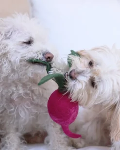 Wool Radish Dog Toy