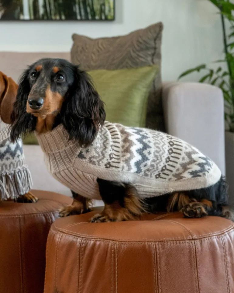 Wooly Winter Alpaca Dog Sweater