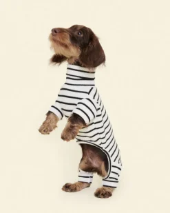 World's Your Oyster Dog Onesie