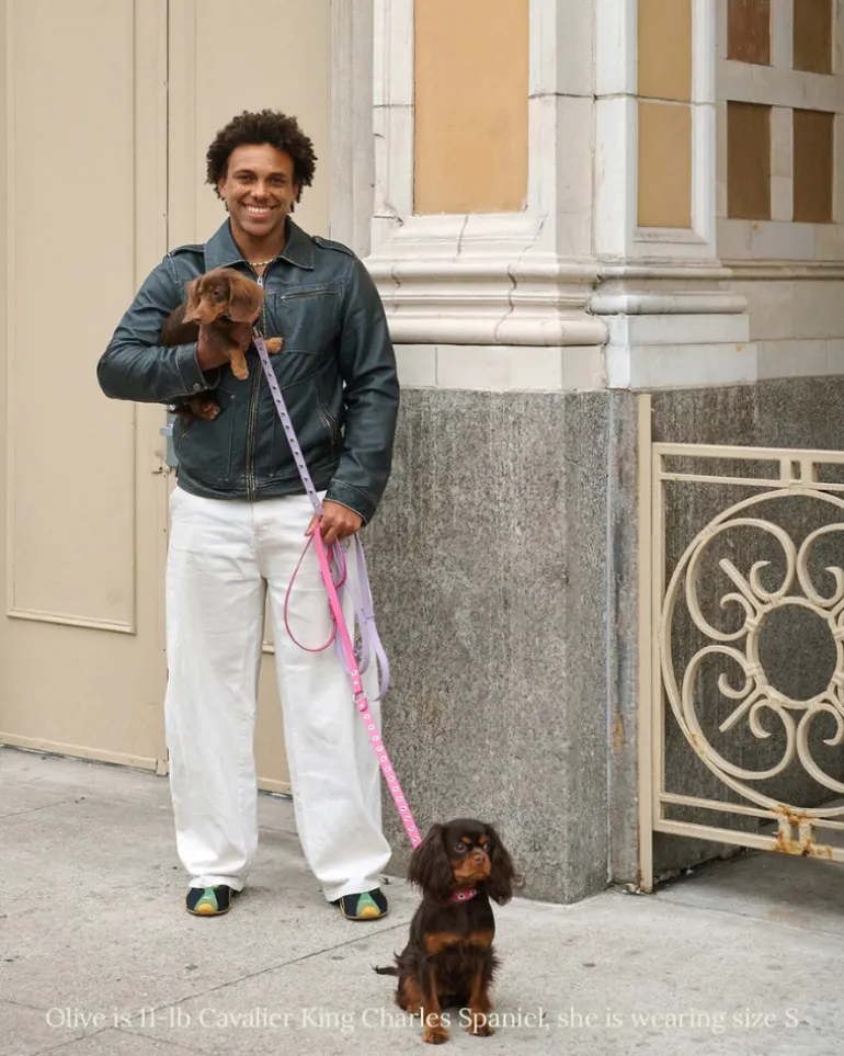 You Mean The World To Me Dog Collar in Peony