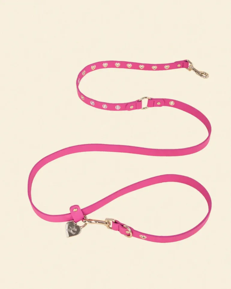 You Mean the World To Me Dog Leash in Peony