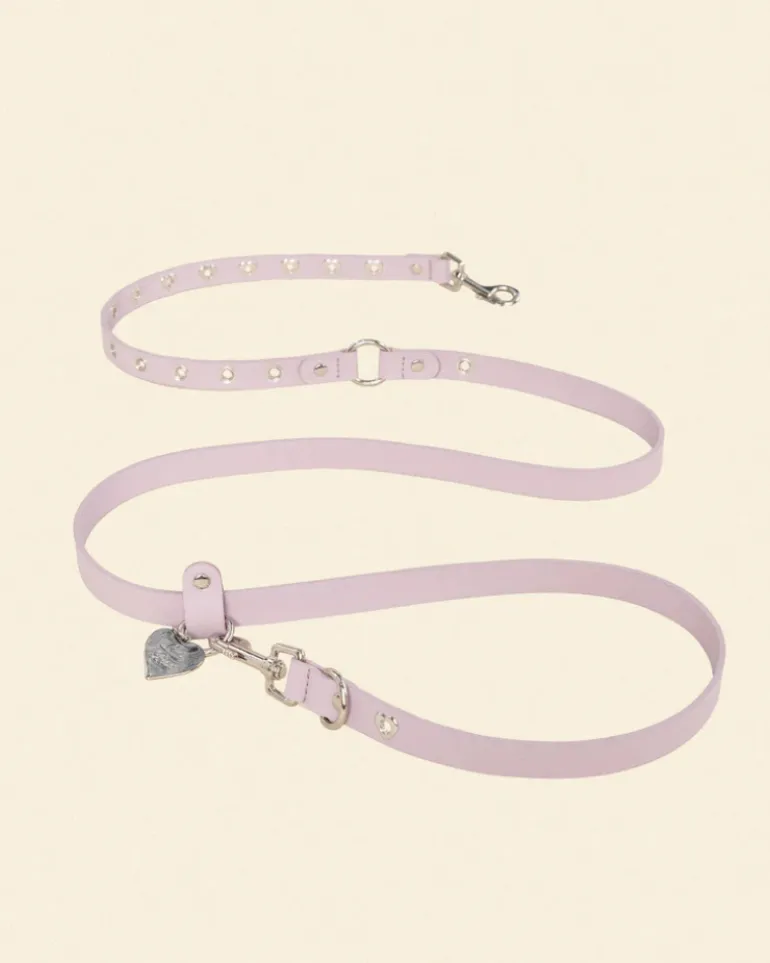 You Mean the World To Me Dog Leash in Lilac