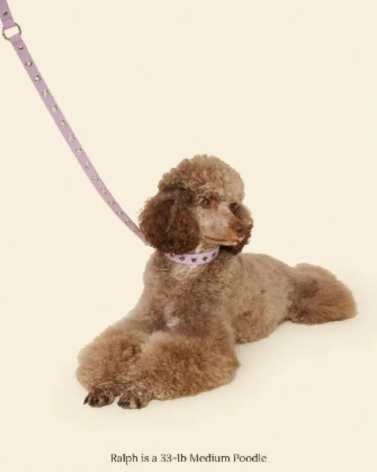 You Mean the World To Me Dog Leash in Lilac
